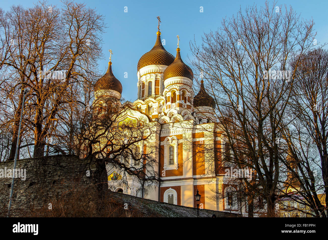 La cathédrale Alexandre Nevsky, Tallinn, Estonie Banque D'Images