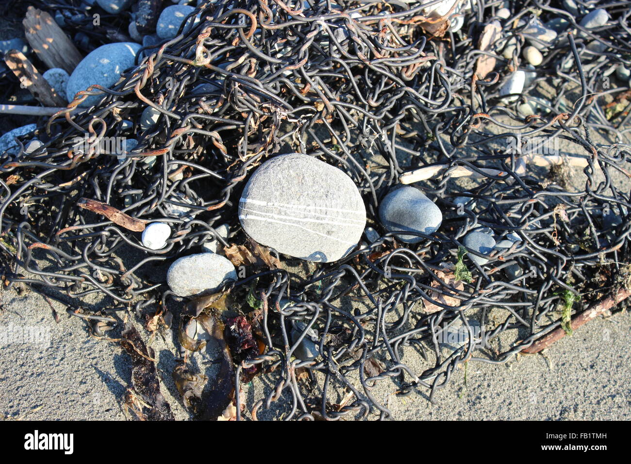 La plage se trouve Banque D'Images