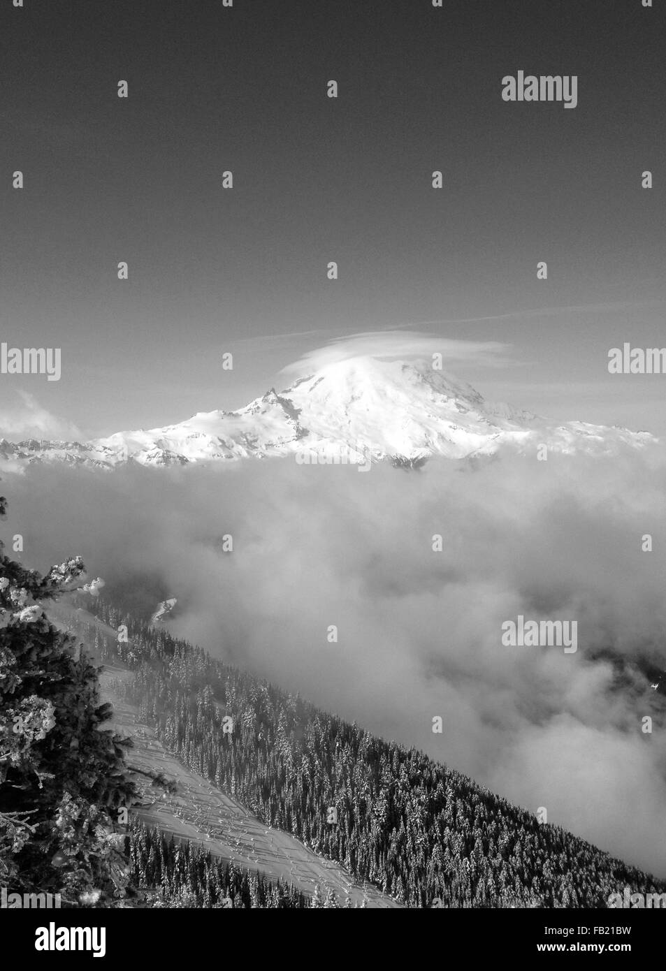 Mt Rainier en hiver Banque D'Images