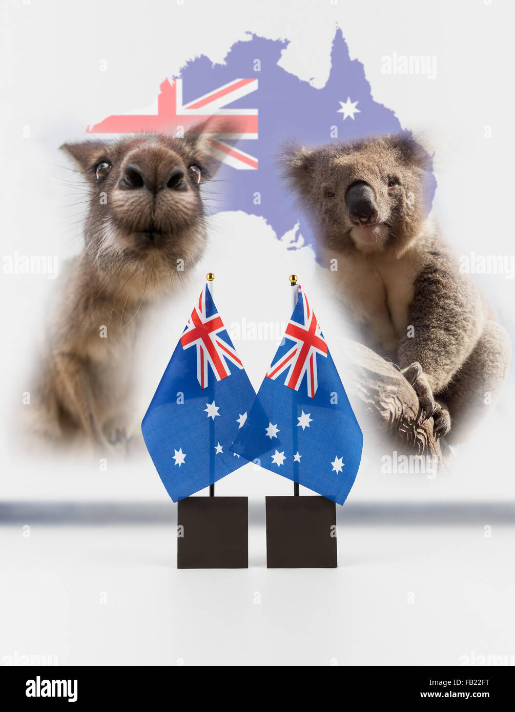 Deux Australian Bureau drapeaux, koala et kangourou avec carte de l'Australie dans l'arrière-plan. Symboles nationaux australien isolé sur w Banque D'Images
