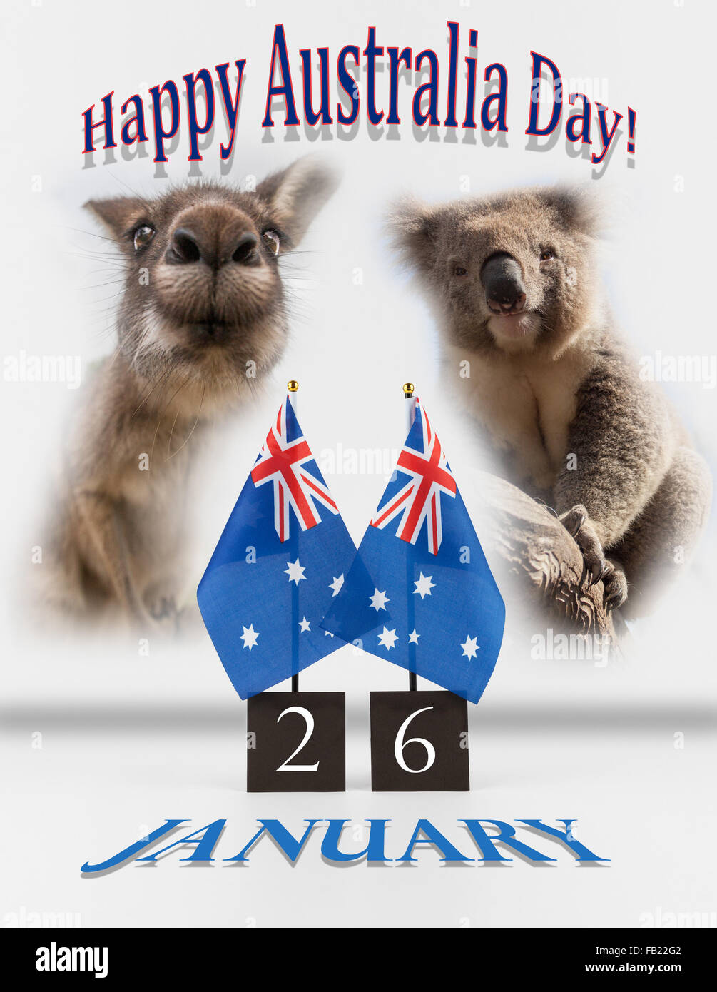 Deux Australian Bureau drapeaux, koala et kangourou. 26 janvier Australie Jour symboles salutations isolated on white. Banque D'Images