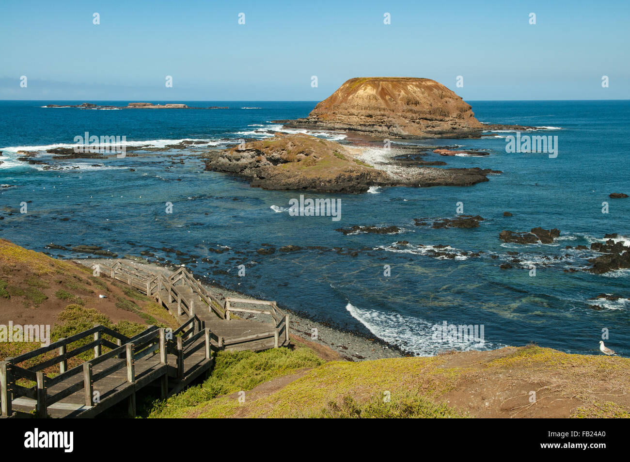 L'Nobbies, Phillip Island, Victoria, Australie Banque D'Images