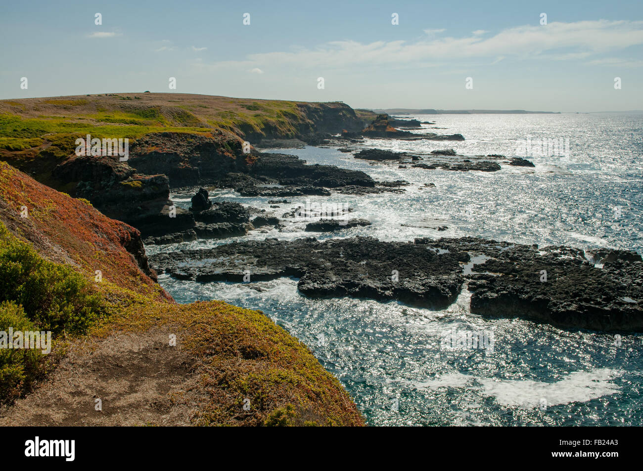 Vue depuis l'Nobbies, Phillip Island, Victoria, Australie Banque D'Images