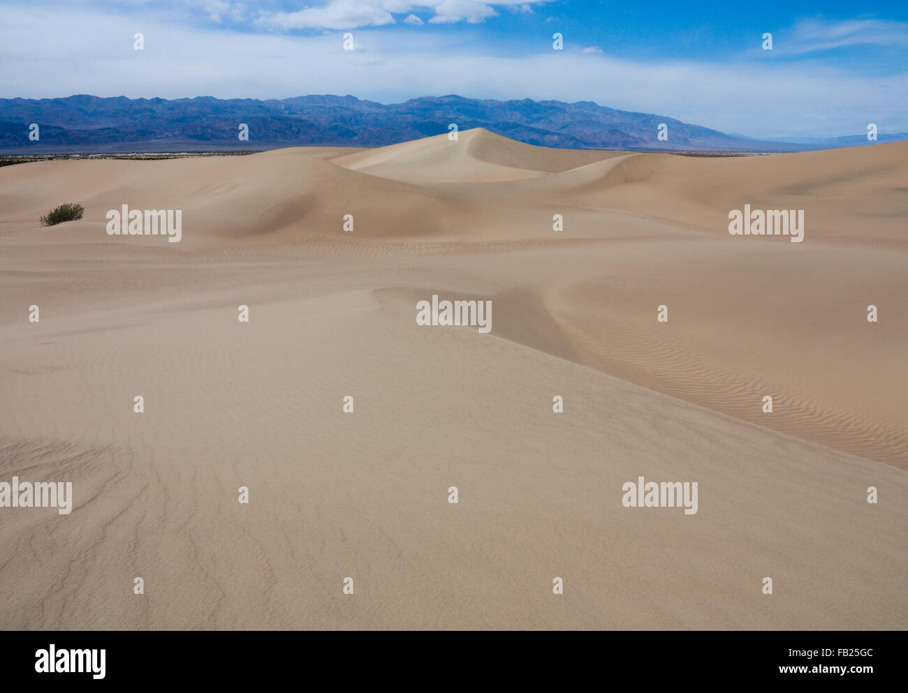 Dunes de sable dans la Death Valley en Californie Banque D'Images