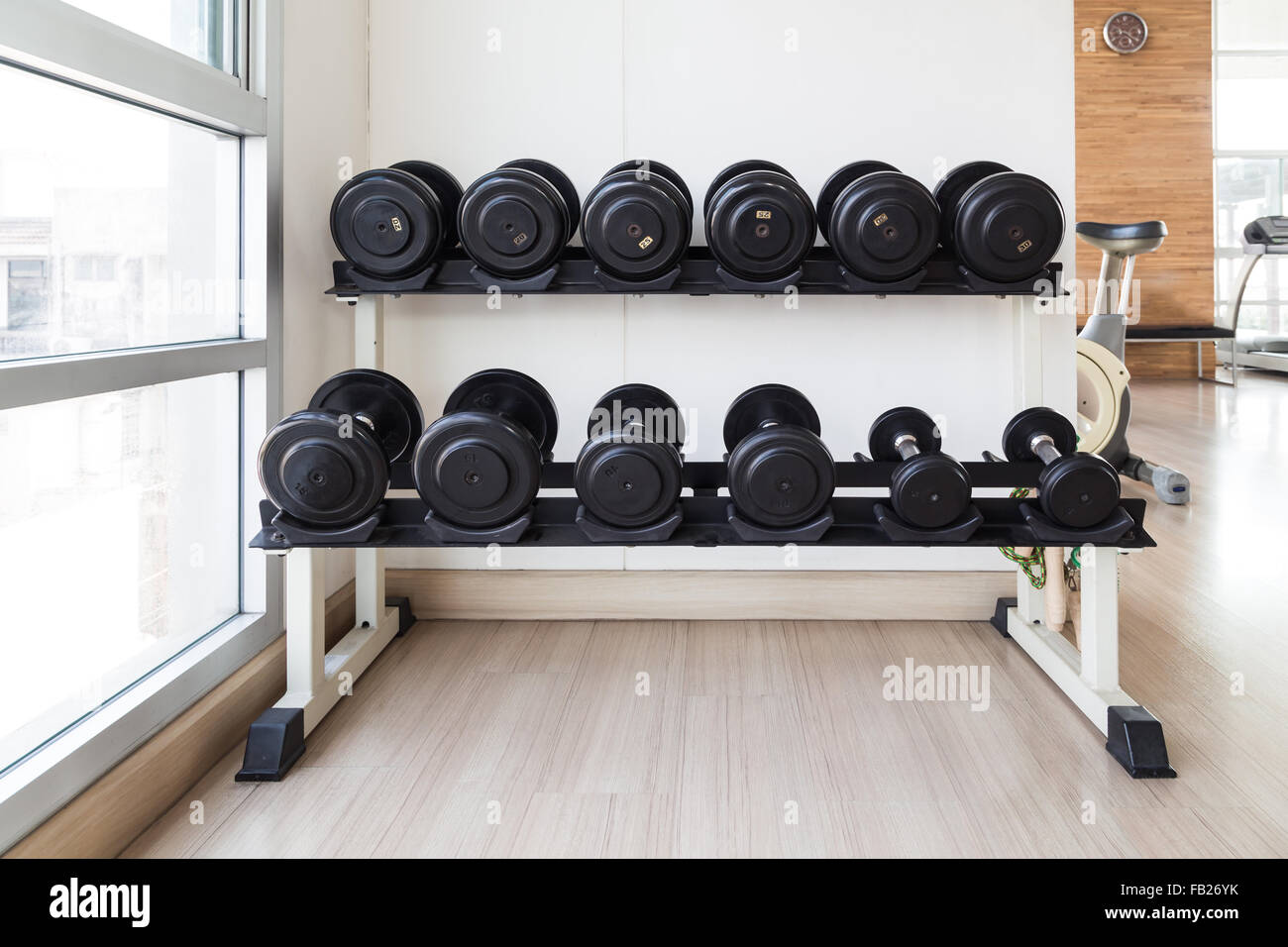 Différentes tailles d'haltère noir mis sur des étagères près de mur blanc dans les gymnases Banque D'Images