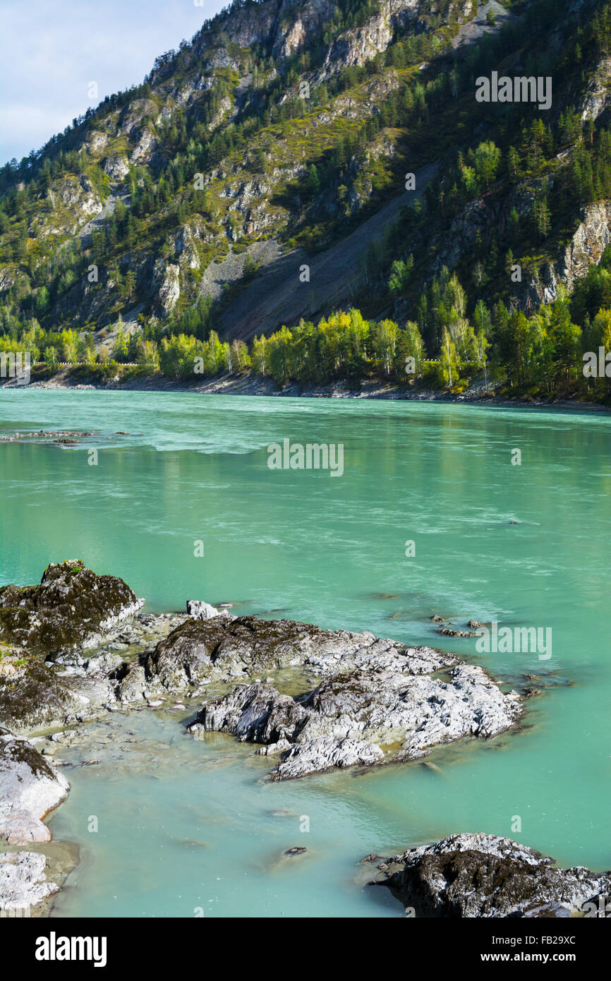Vue verticale des roches sur le fond de la rivière turquoise coulant entre les rochers des montagnes, de la rivière Katun, montagne de l'Altaï Banque D'Images
