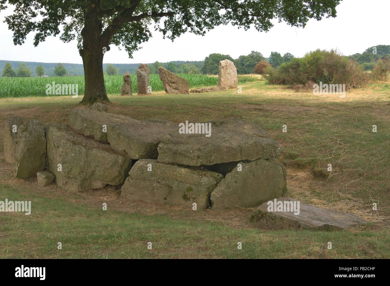 Dolmen du sud de la C.-B. 3000-2800 site mégalithique Wéris - Durbuy - Ardenne - Belgique Banque D'Images
