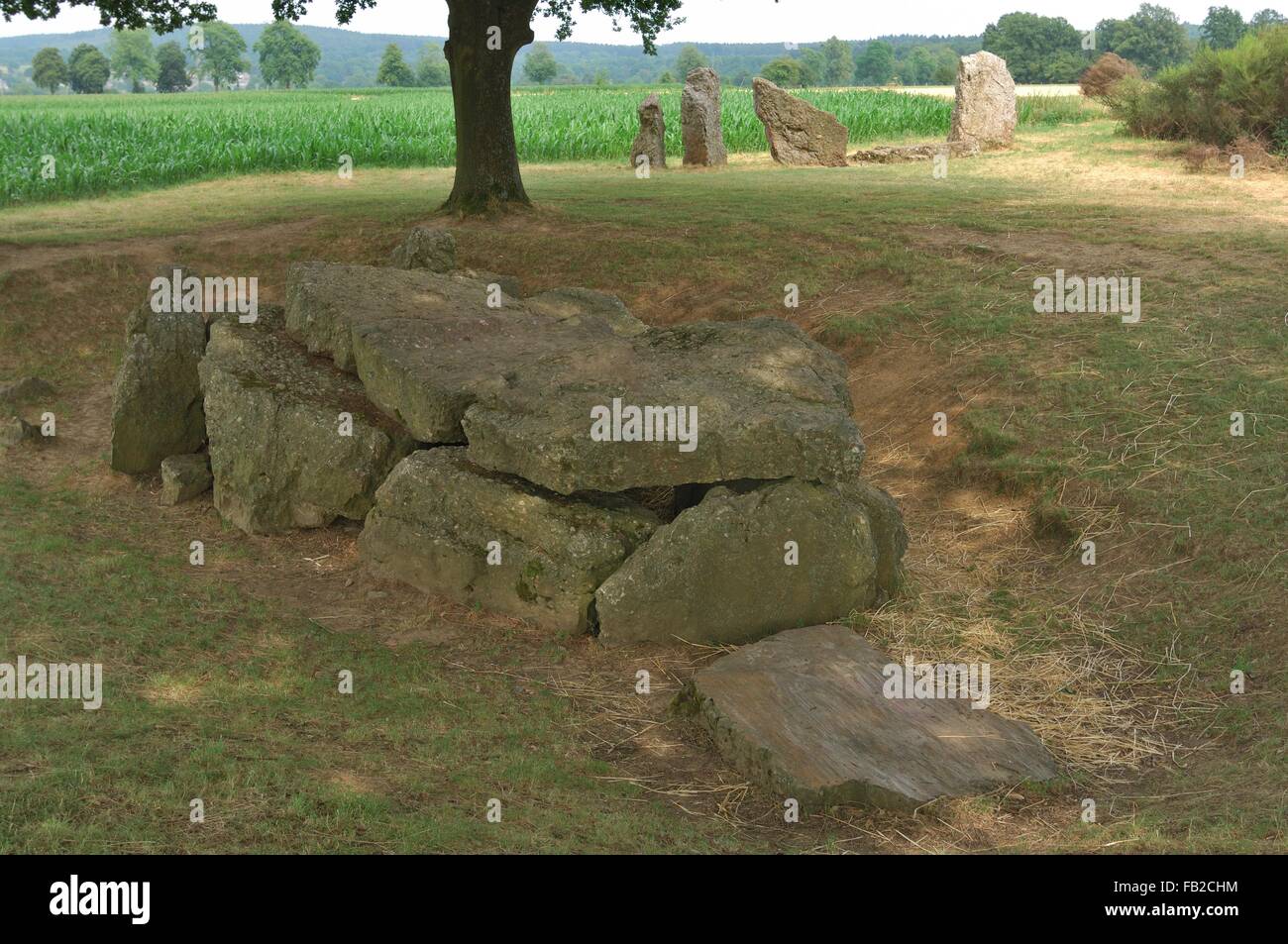 Dolmen du sud de la C.-B. 3000-2800 site mégalithique Wéris - Durbuy - Ardenne - Belgique Banque D'Images