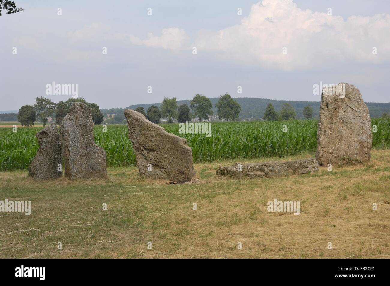 Menhirs d'Oppagne - Standing Stone près de Dolmen du sud de la C.-B. 3000-2800 site mégalithique Wéris - Durbuy - Ardenne - Belgique Banque D'Images