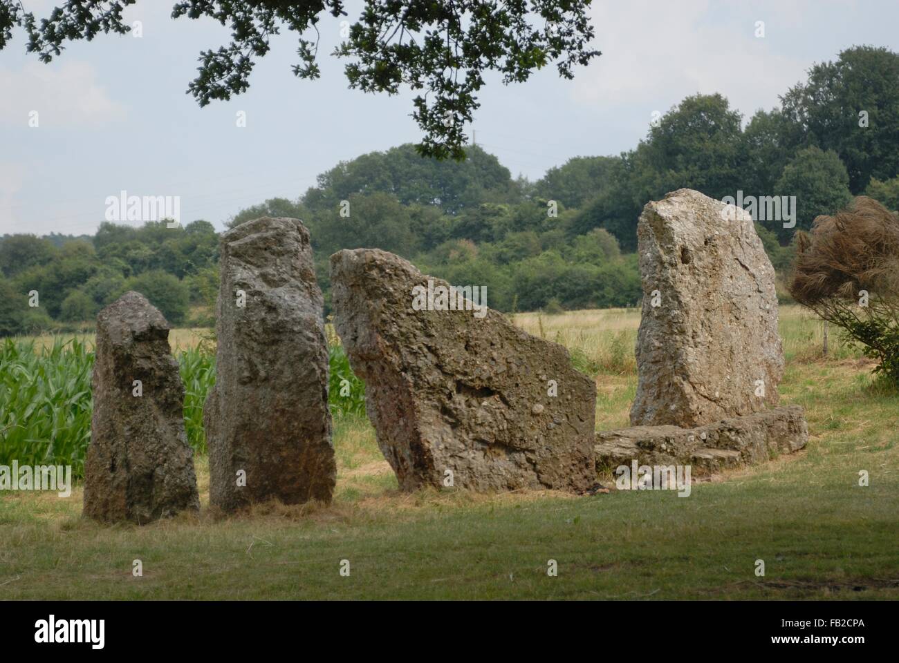Menhirs d'Oppagne - Standing Stone près de Dolmen du Sud - 3000-2800 B.C. site mégalithique Wéris - Durbuy - Ardenne - Belgique Banque D'Images