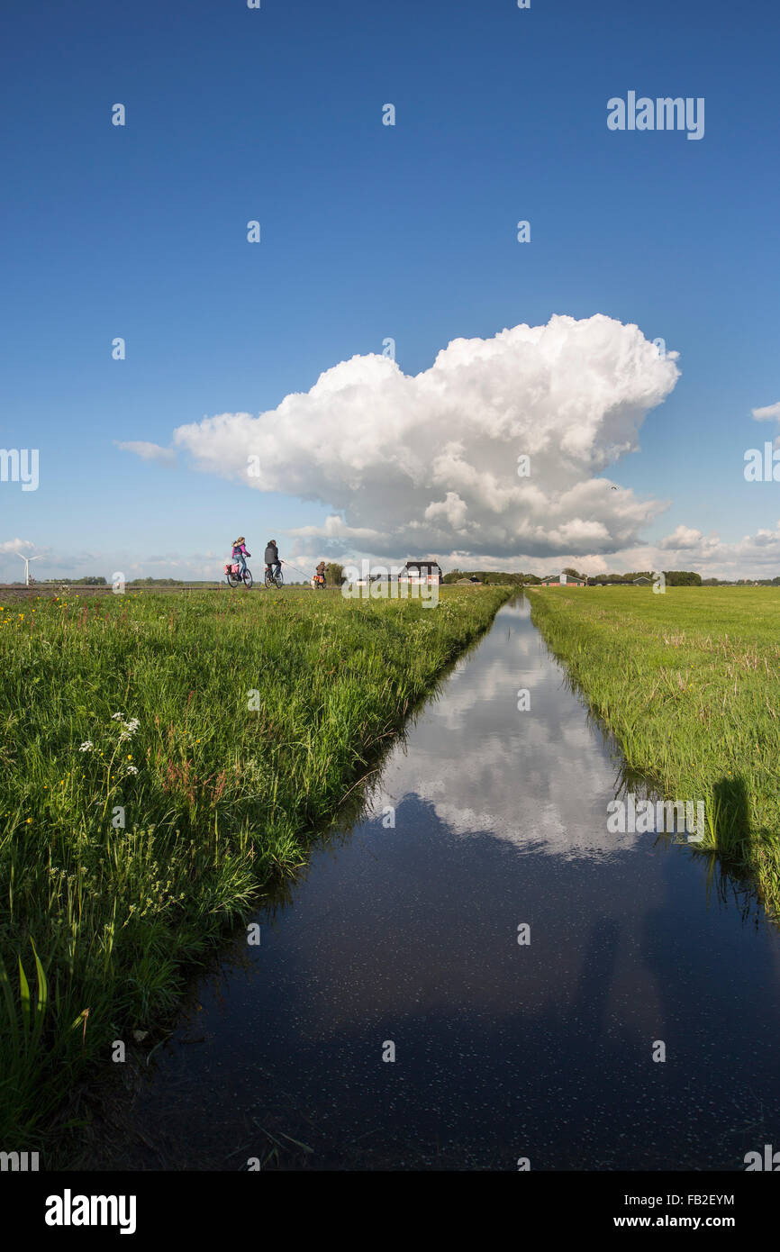 Pays-bas, Lichtaard, Père apporte deux filles à l'école à vélo. Paysage de polders Banque D'Images