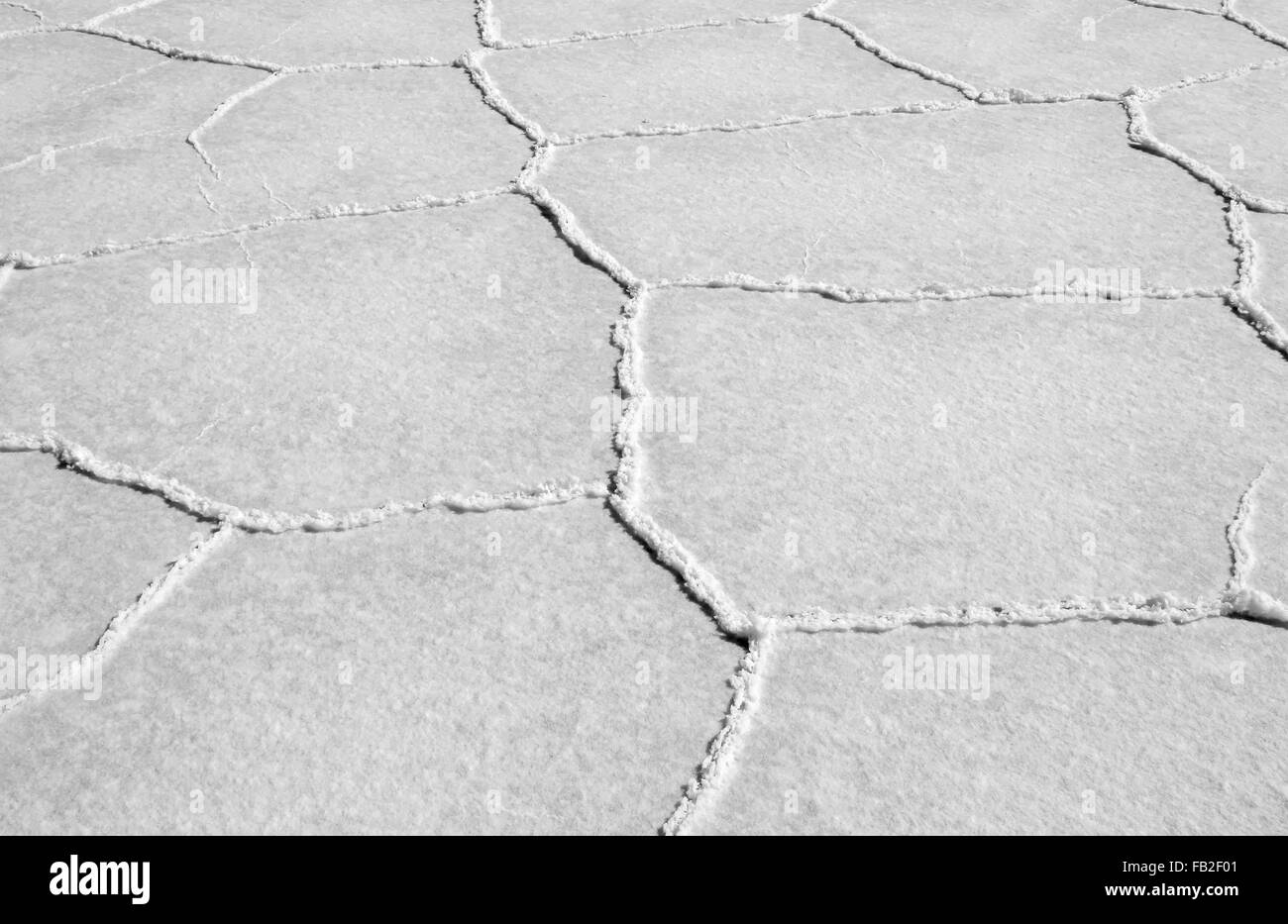 Close up de lacs de sel en Bolivie en Amérique du Sud en hiver Banque D'Images