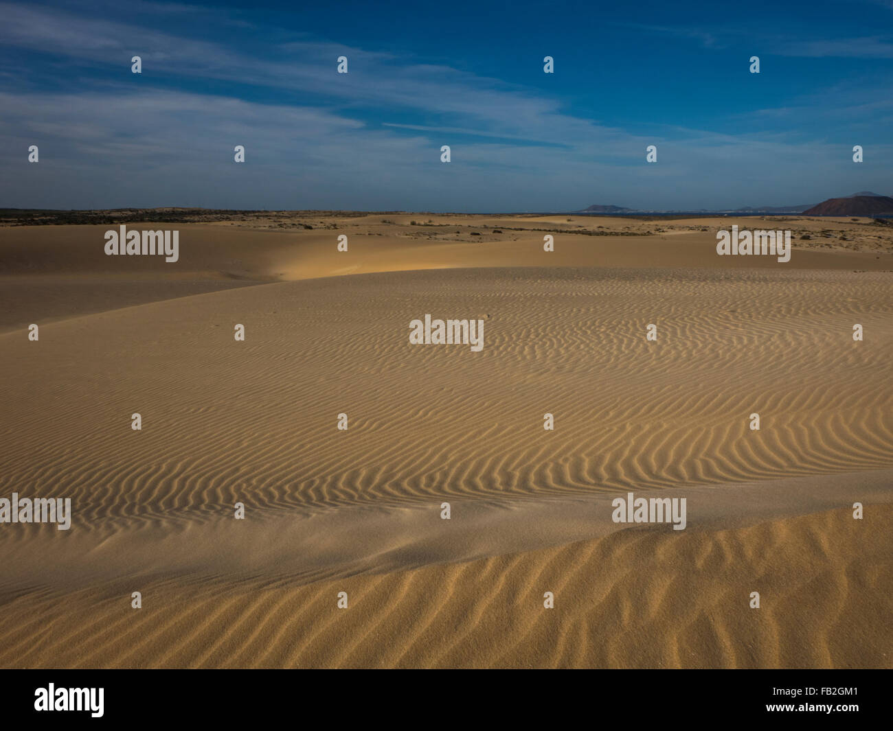 Dunes de sable sur le parc naturel de Corralejo le secteur-, espagne. Banque D'Images