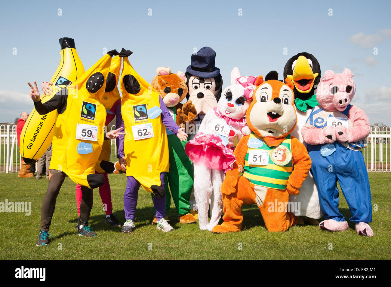 Les glissières en 2014 Mascot Gold Cup à Wetherby Race Course, Wetherby, West Yorkshire, Royaume-Uni. Banque D'Images