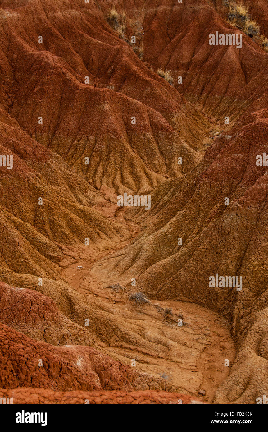 Orange rouge sec de la vallée de la pierre de sable chaud du désert dans la formation rocheuse de Tatacoa, Huila Banque D'Images