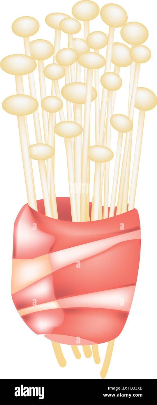 La cuisine japonaise, Illustration de champignons Enoki ou l'aiguille d'or enveloppé de Bacon champignons isolés en fond blanc. Illustration de Vecteur