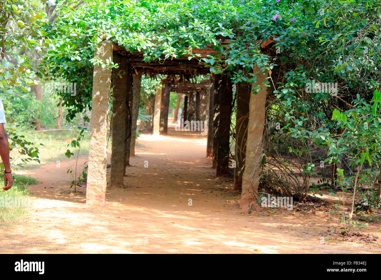 À l'intérieur de la ville d'Auroville (Aube) Banque D'Images