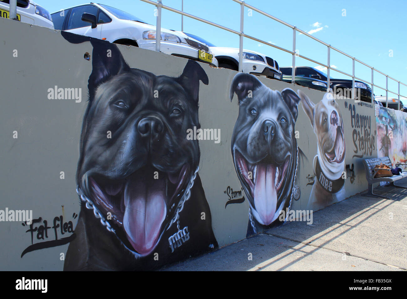 La plage de Bondi, Australie graffiti Banque D'Images