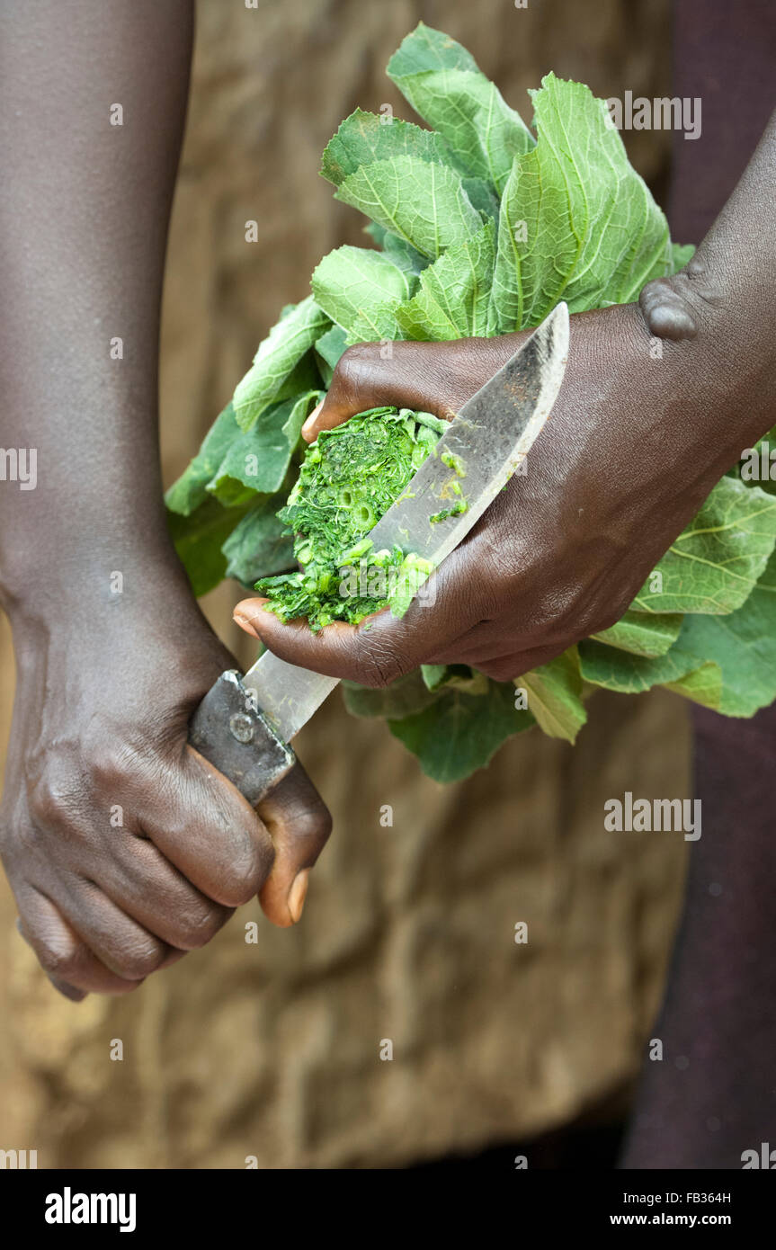 Dame la préparation de feuilles vertes pour un repas, les hacher au couteau. Au Kenya. Banque D'Images