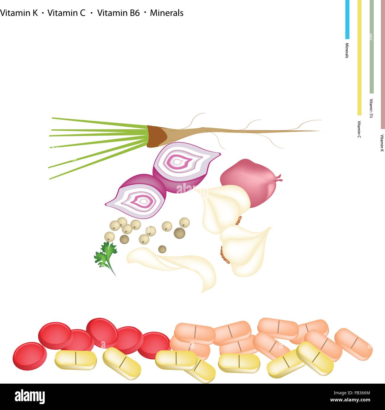 Concept de soins de santé, le piment, l'échalote, l'ail et la coriandre avec la vitamine K, C, B6 et minéraux Comprimés, nutriment essentiel pour L Illustration de Vecteur