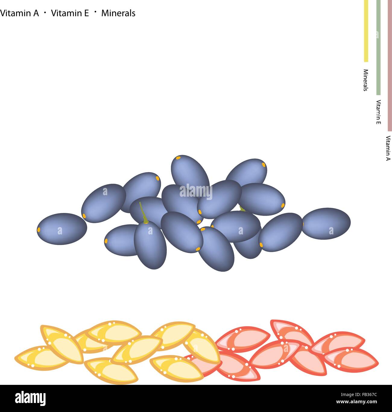 Concept de soins de santé, de l'illustration d'Olives mûres Chine avec la vitamine C, de vitamine A et de minéraux comprimé, nutriment essentiel pour la vie Illustration de Vecteur