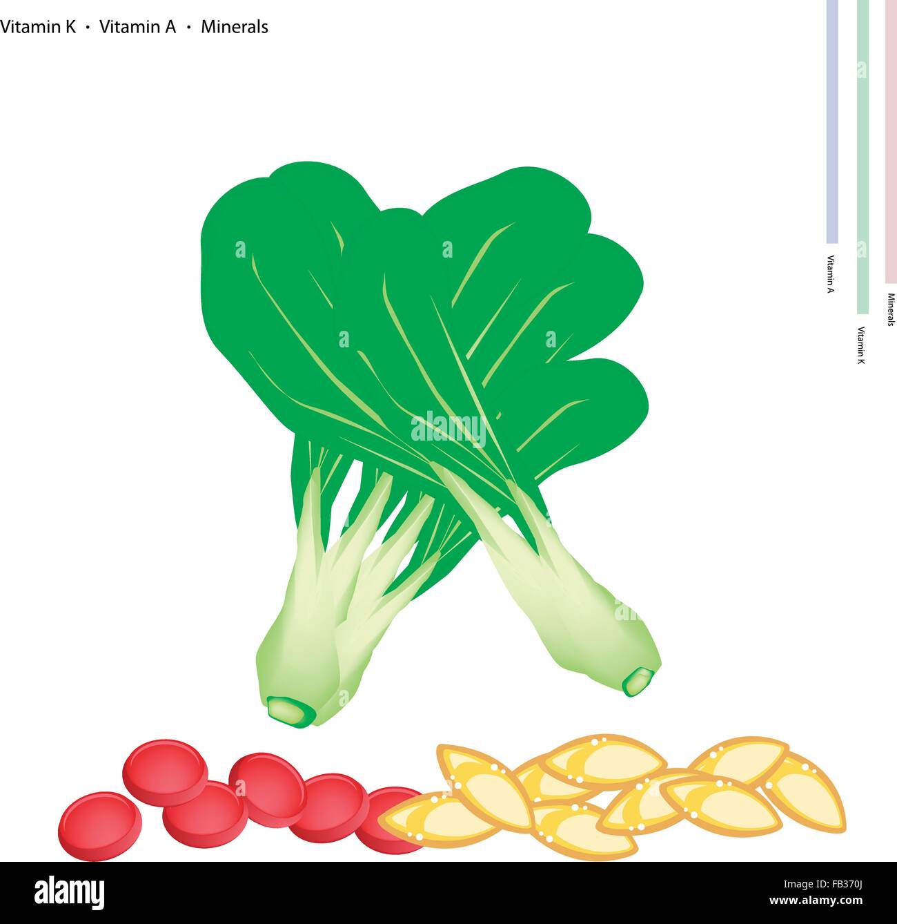 Concept de soins, Illustration de bok choy, Pok Choi ou Pak choi avec la vitamine K, vitamine A et en minéraux essentiels, tablette Nutr Illustration de Vecteur