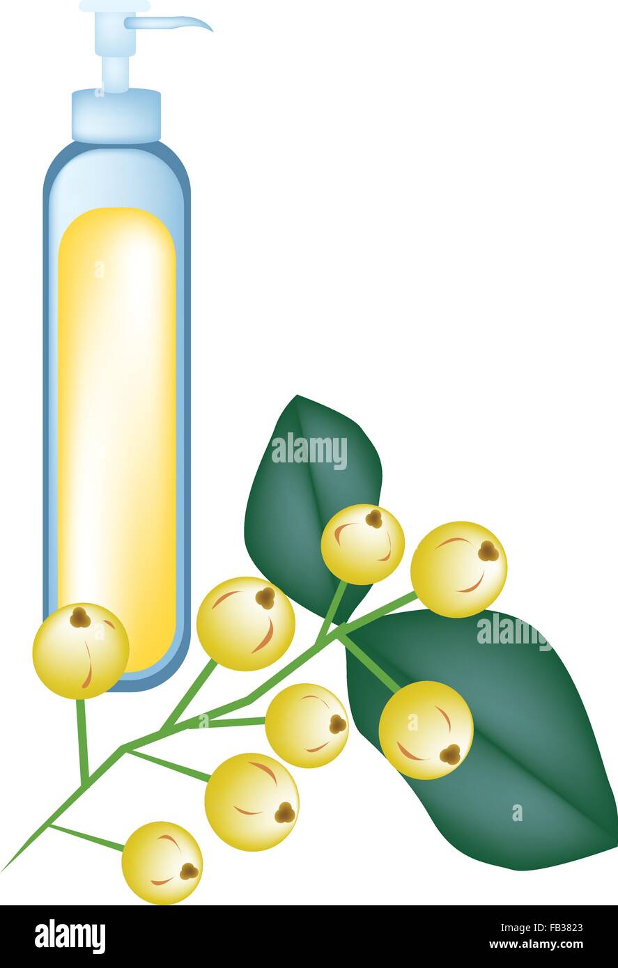 Belle fleur jaune, Illustration de Aglaia Odorata fleurs ou plantes à parfum chinois avec des feuilles vertes isolé sur blanc Retour Illustration de Vecteur