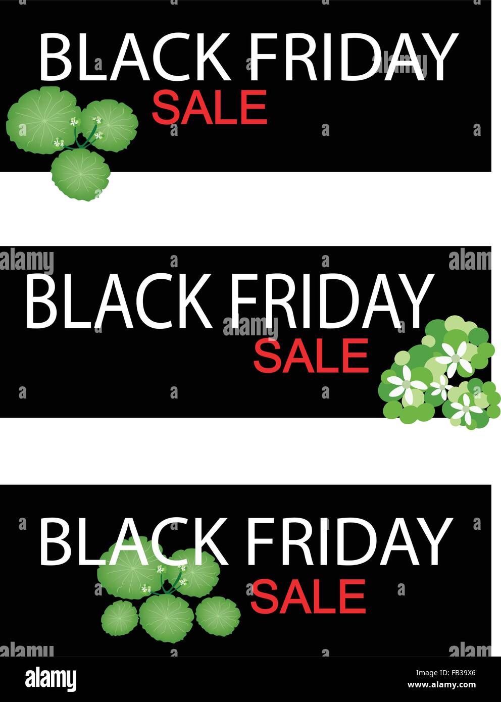 Illustration de l'Asiatique ombelle Hydrocotyle umbellata ou plante sur le Black Friday Shopping bannière pour commencer les achats de Noël se Illustration de Vecteur