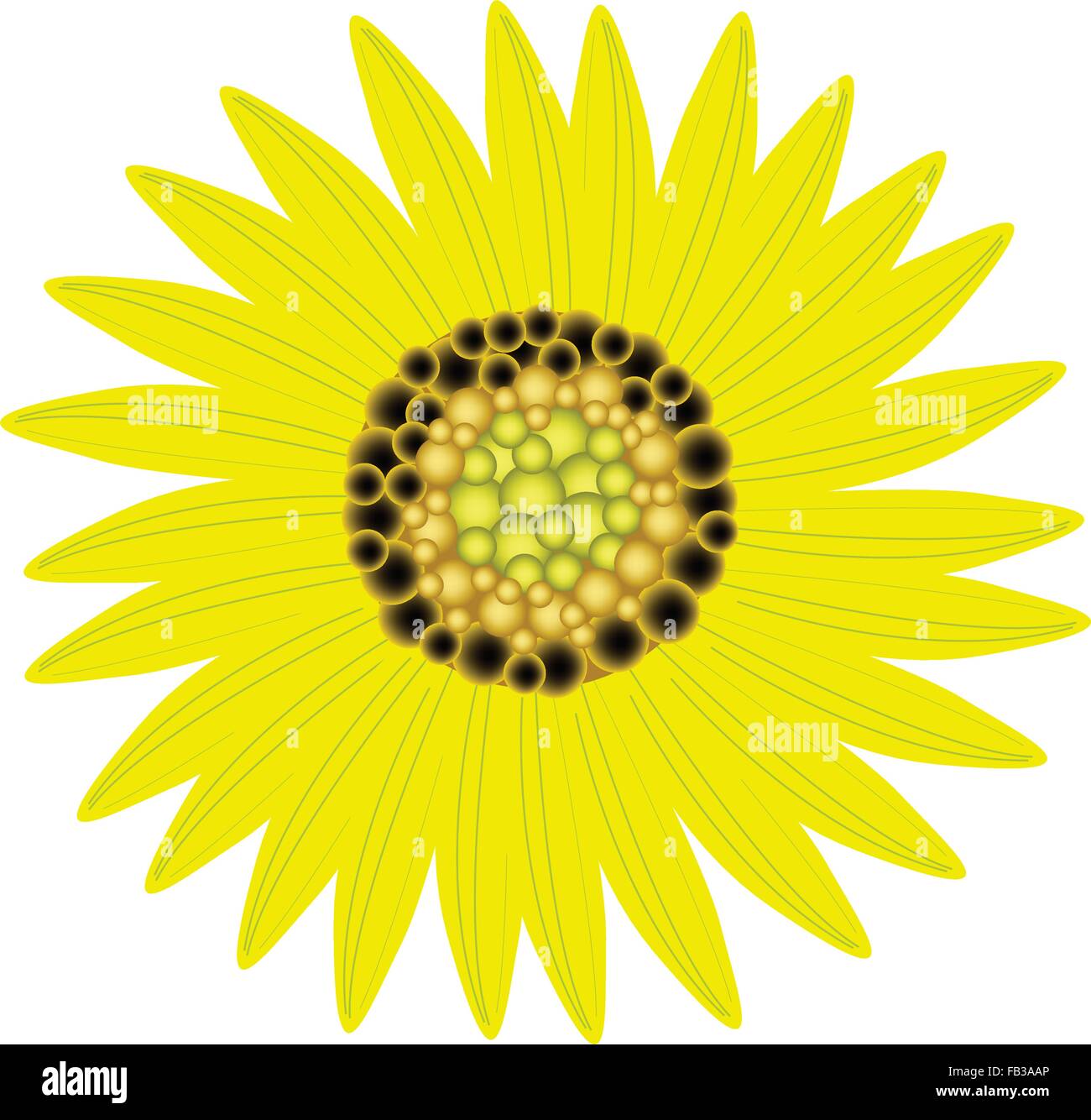 Belle Fleur, belle et lumineuse Illustration Couleurs jaune des tournesols isolé sur fond blanc Illustration de Vecteur