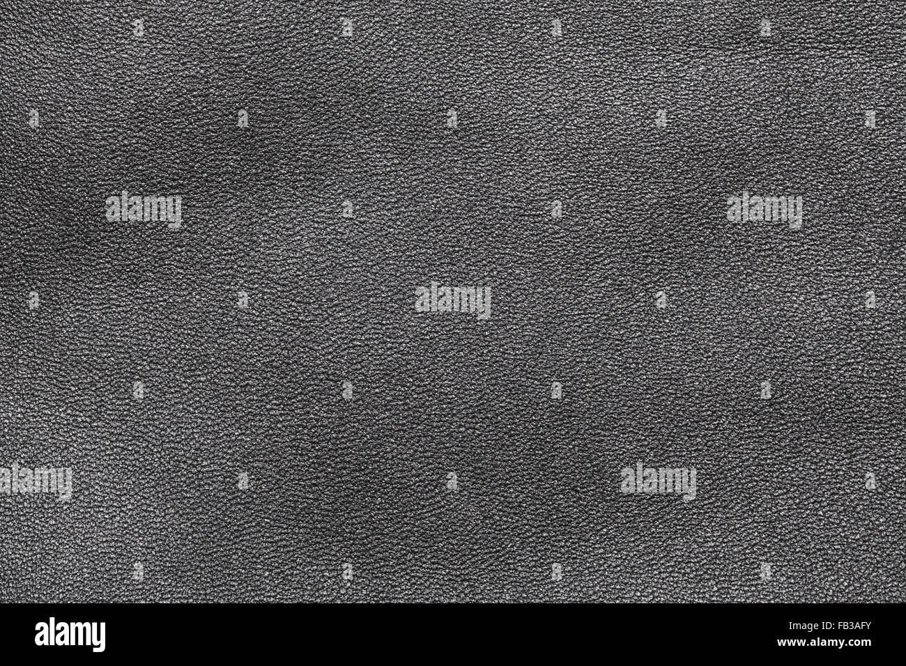 En cuir véritable noir, texture de fond photo gros plan Banque D'Images