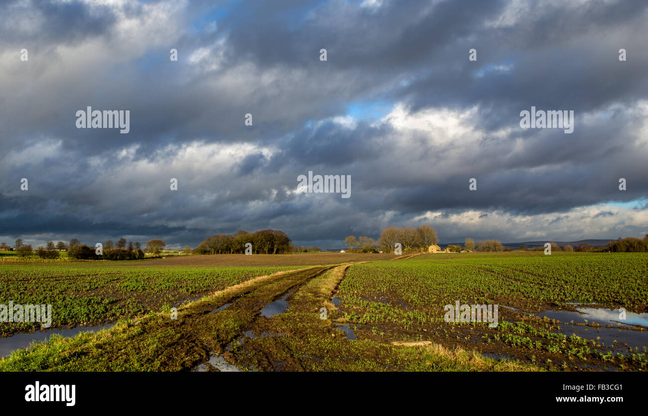 Ferme isolée dans la distance sous un ciel menaçant. Effet de perspective solide avec les champs et la voie. Banque D'Images