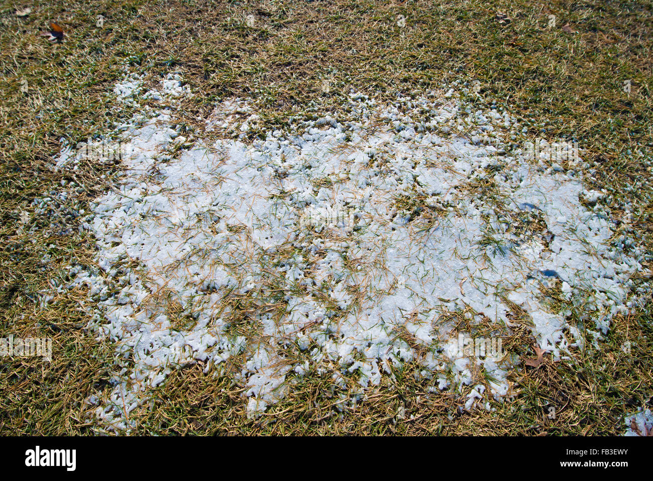 Formations de glace sur l'herbe morte en hiver Banque D'Images