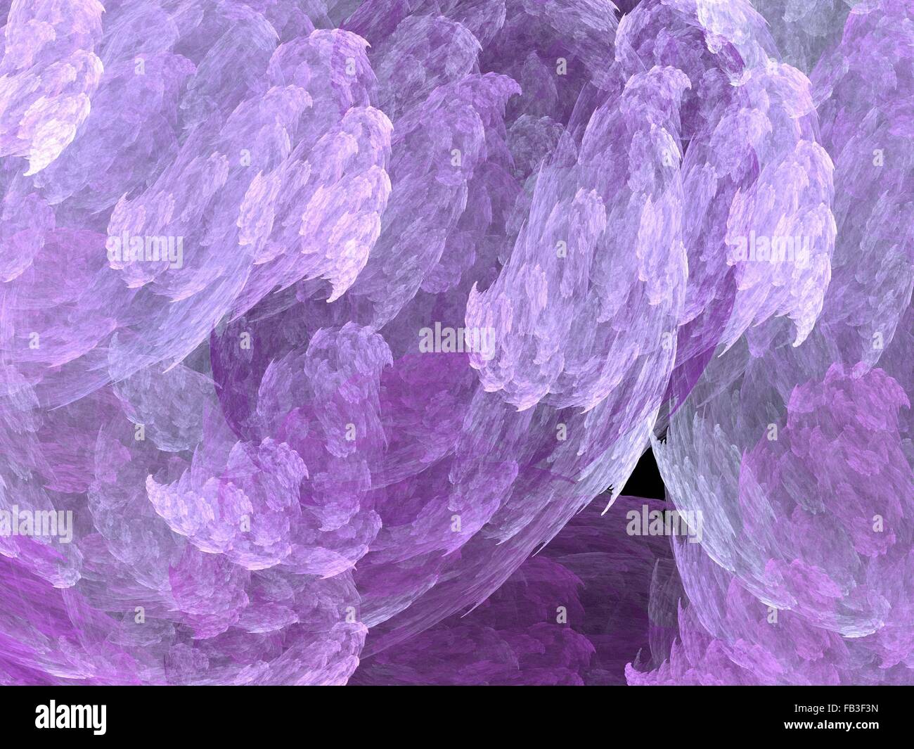 Fractale numérique sur noir Banque D'Images