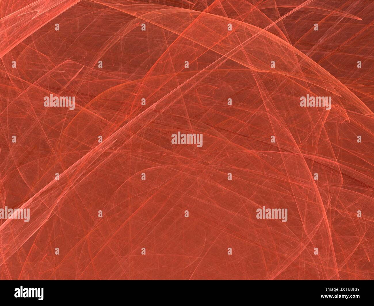 Fractale numérique sur noir Banque D'Images