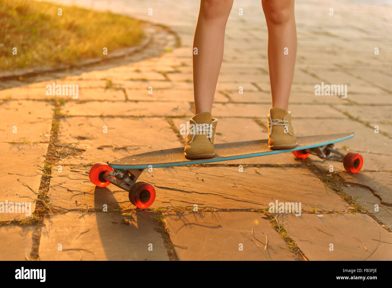 Nice girl riding skateboard Banque D'Images