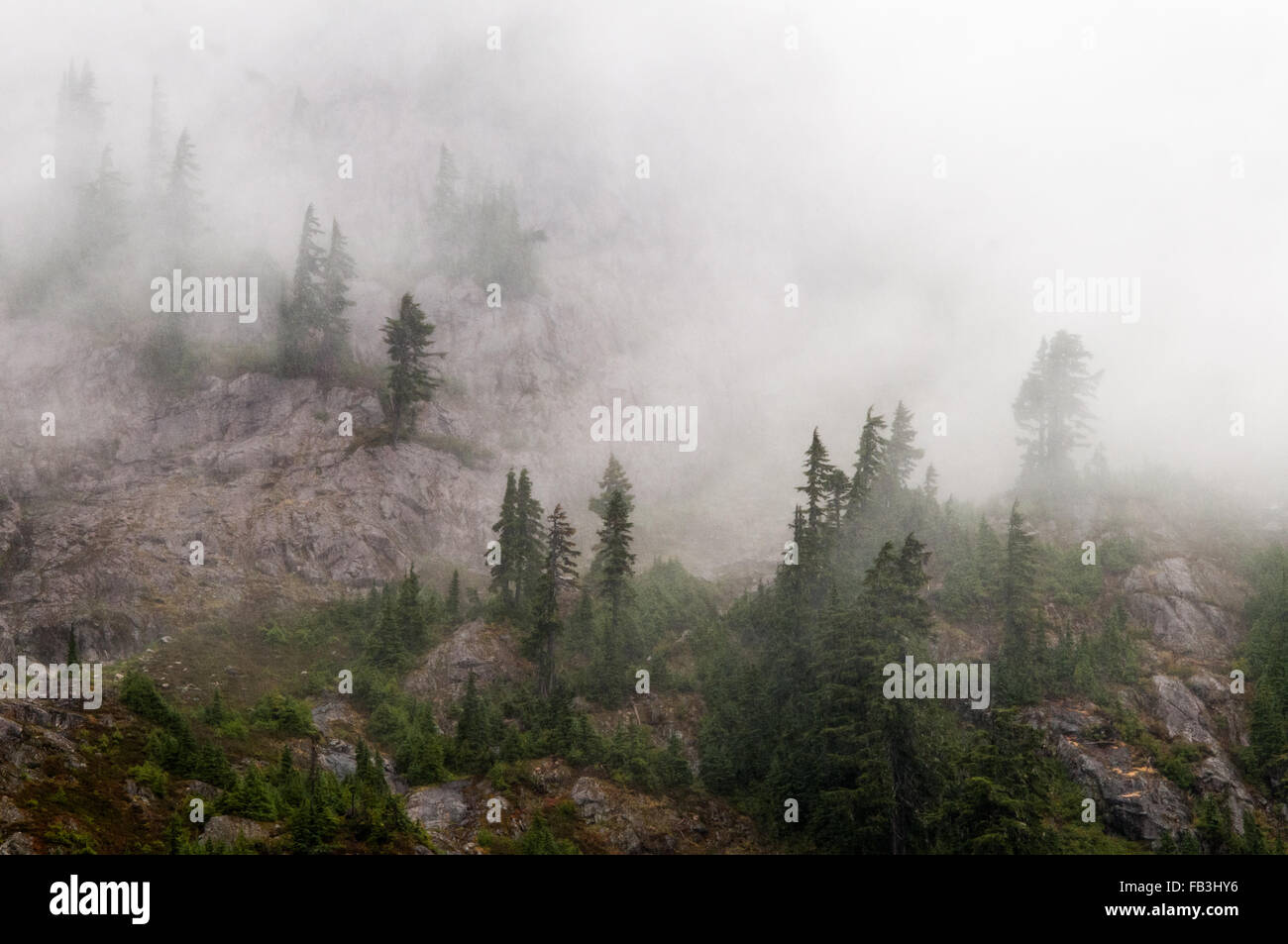 Parsemé de pins des sommets alpins sont voilées par les nuages au point de l'artiste Mt. Baker Banque D'Images