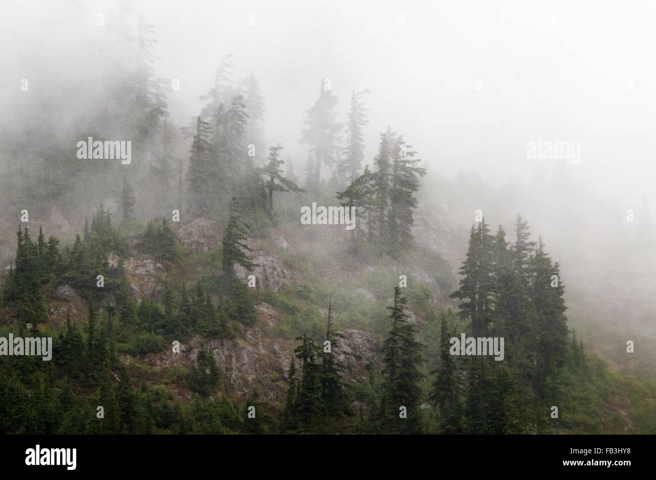 Parsemé de pins des sommets alpins sont voilées par les nuages au point de l'artiste Mt. Baker Banque D'Images