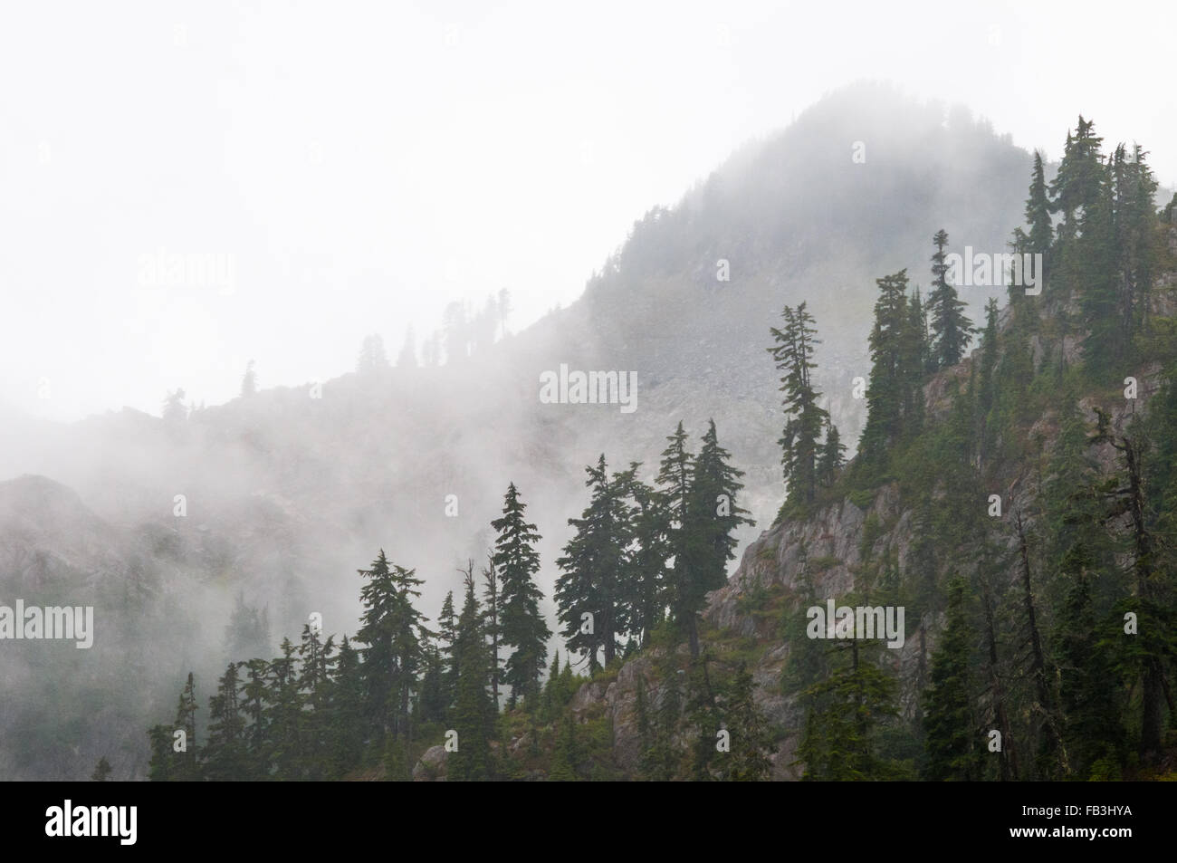 Parsemé de pins des sommets alpins sont voilées par les nuages au point de l'artiste Mt. Baker Banque D'Images