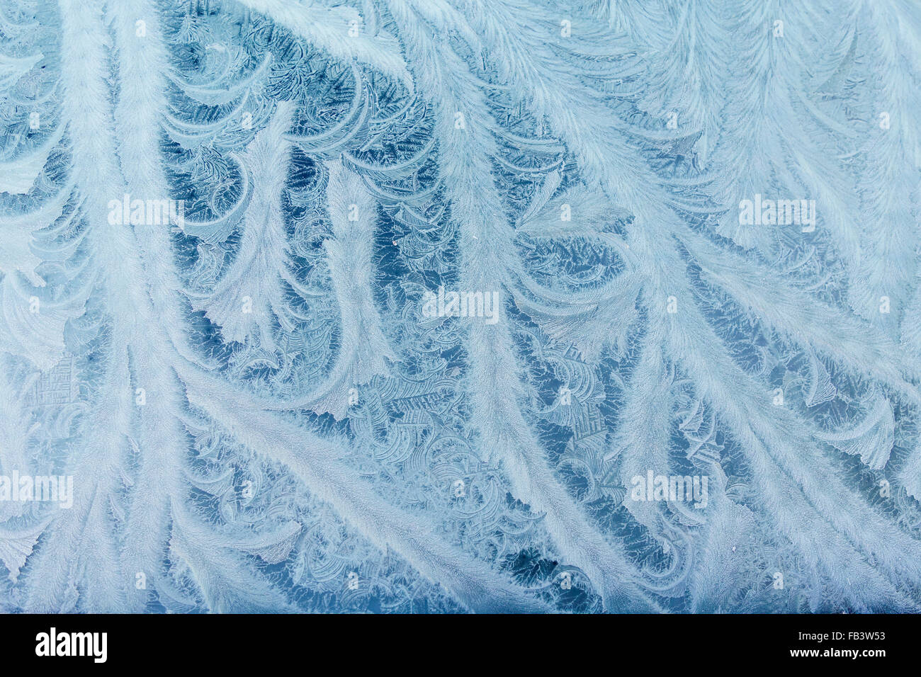 Fleurs de glace sur le pare-brise, l'Autriche, Vienne Banque D'Images