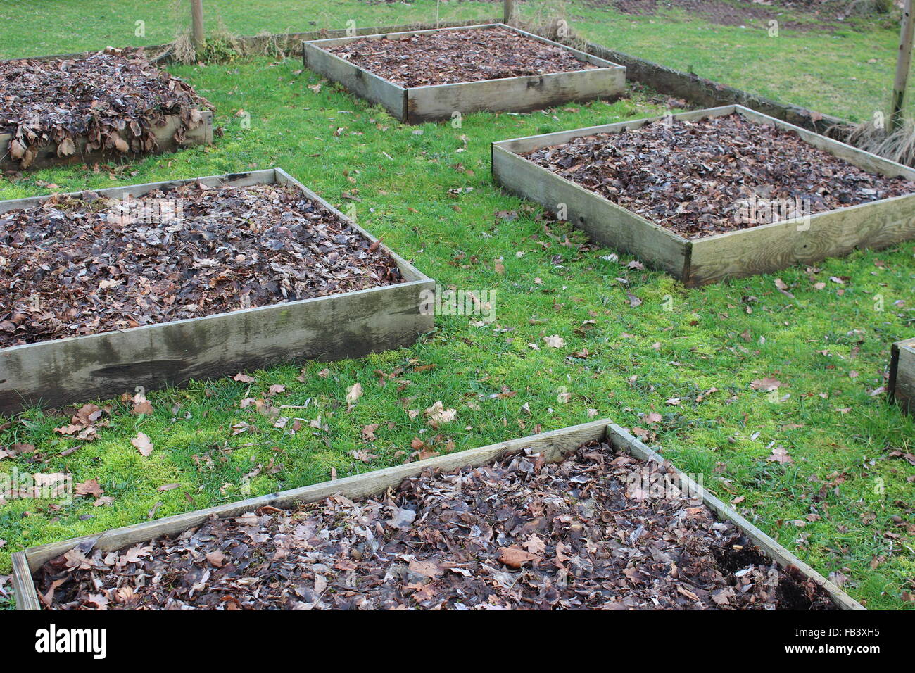 Boîtes de jardin Banque D'Images