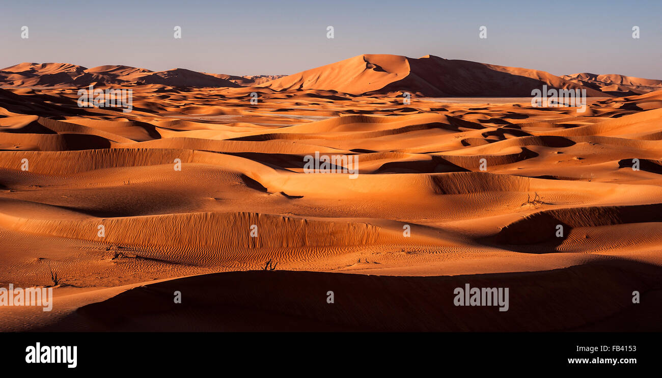 Paysage du quart vide, désert du Rub Al Khali, Oman Banque D'Images