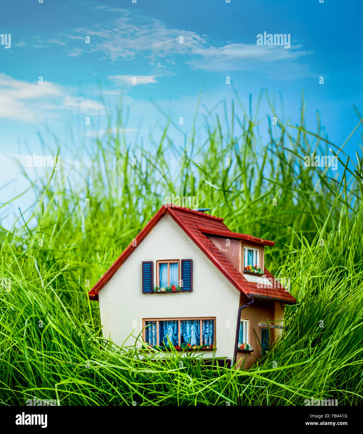 Petite maison sur l'herbe verte Banque D'Images