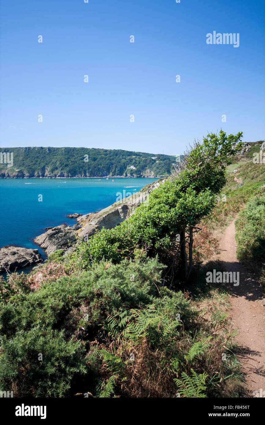 Sud-ouest du Devon idyllique vue chemin côtier à l'embouchure de l'estuaire de Salcombe Banque D'Images