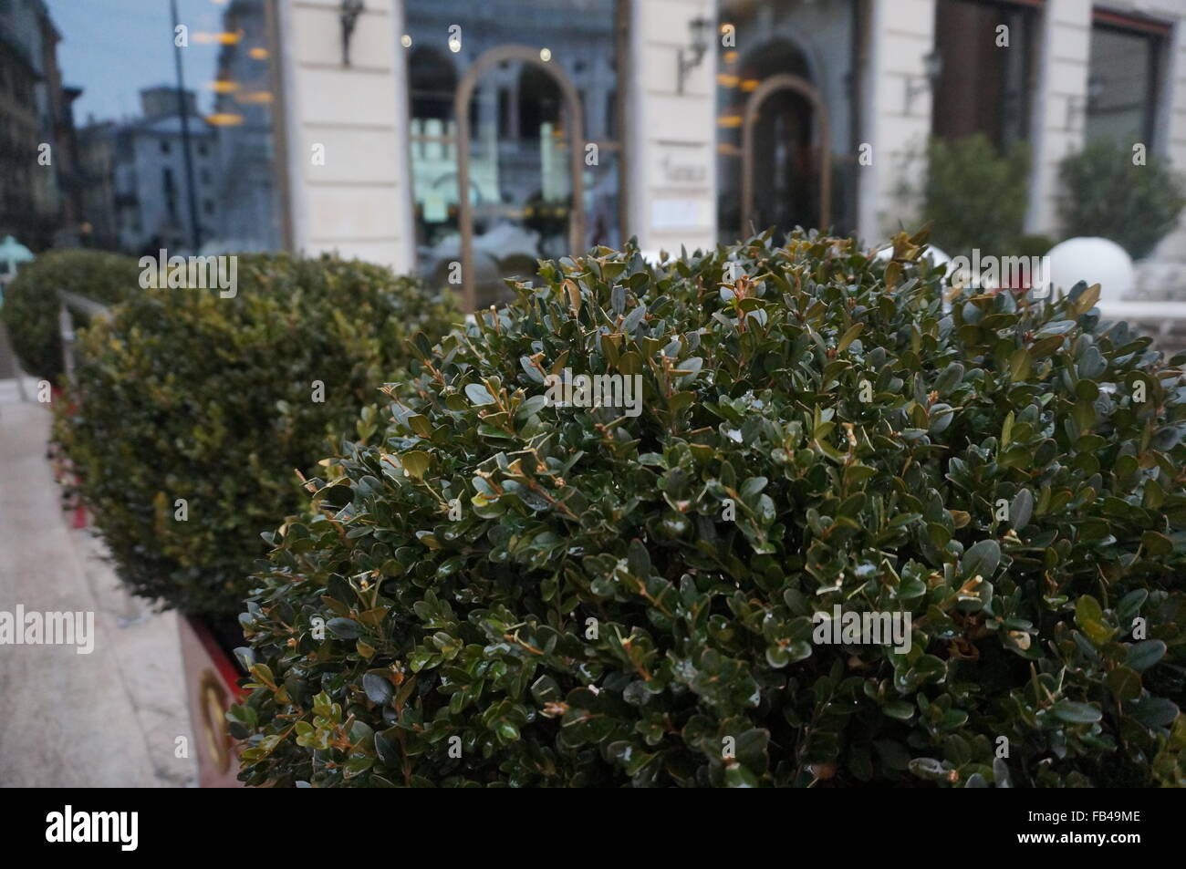 La décoration de l'herbe en face du restaurant de luxe à Vicenza, Italie Banque D'Images