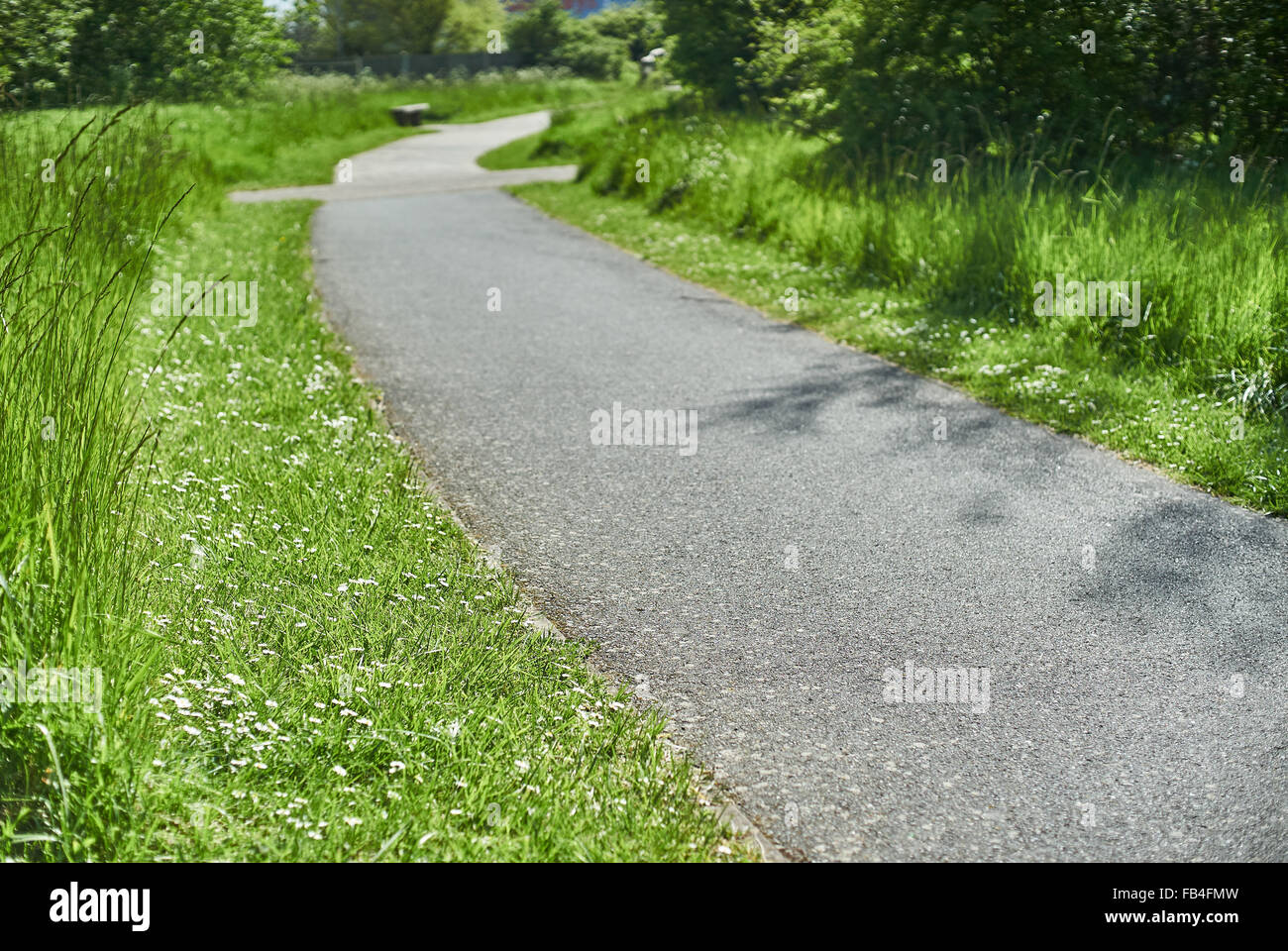 Chemin d'asphalte qui traverse un champ d'herbe Banque D'Images