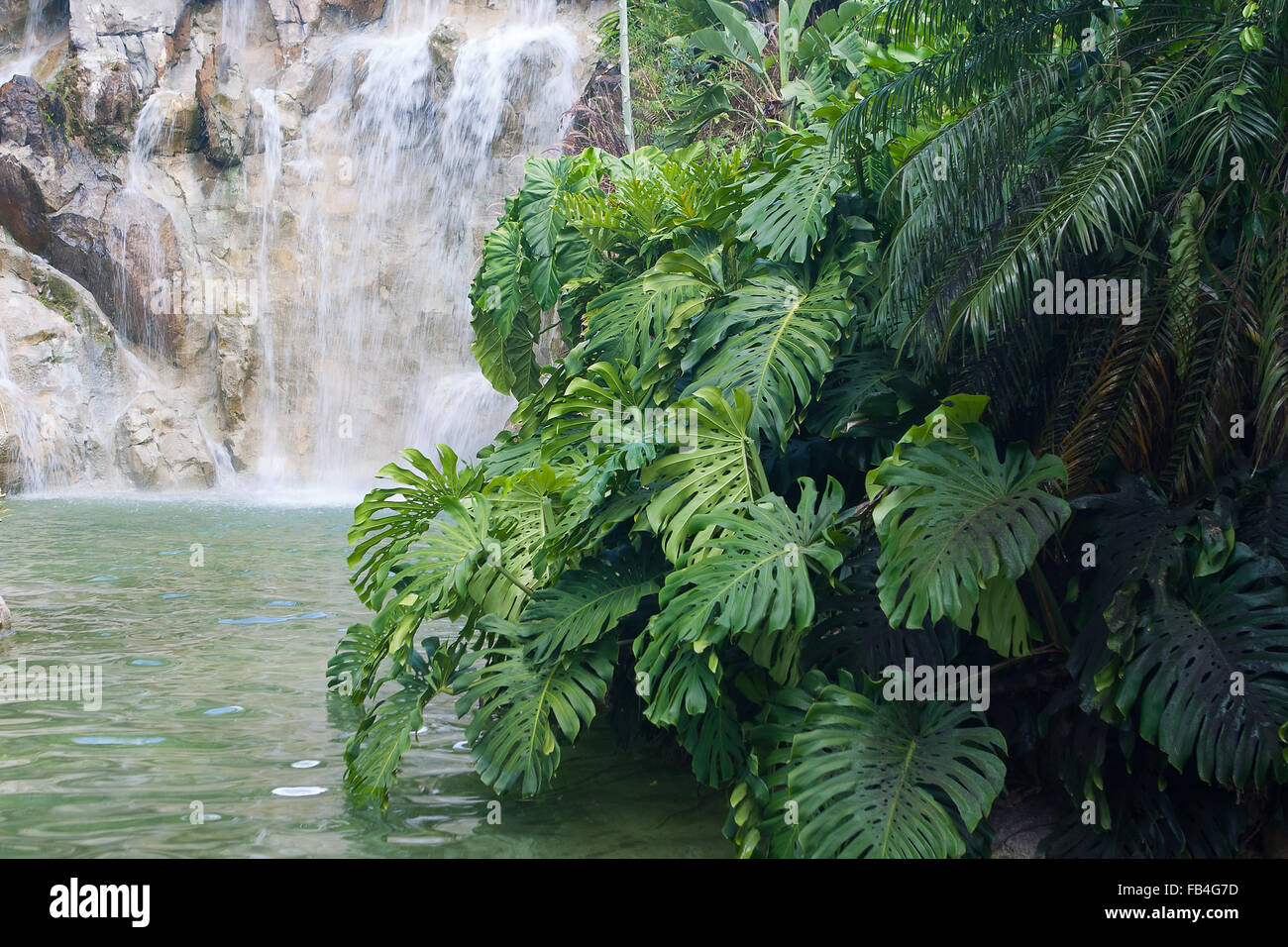 Cascade artificielle dans le Jardin Botanique de Deshaies, Guadeloupe Banque D'Images