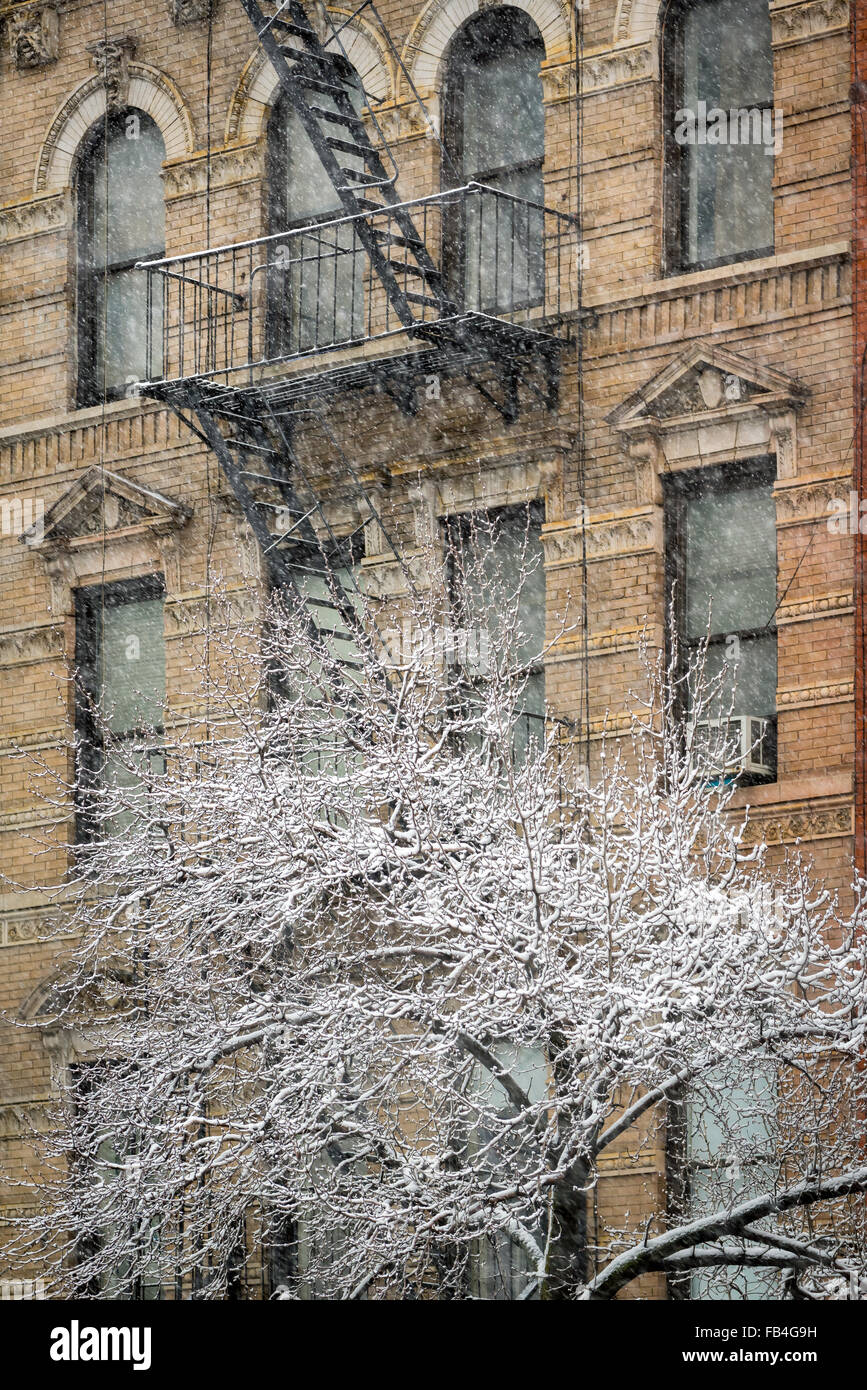 Chelsea bâtiment avec un escalier de secours et l'arbre couvert de neige, tempête, Manhattan, New York City Banque D'Images