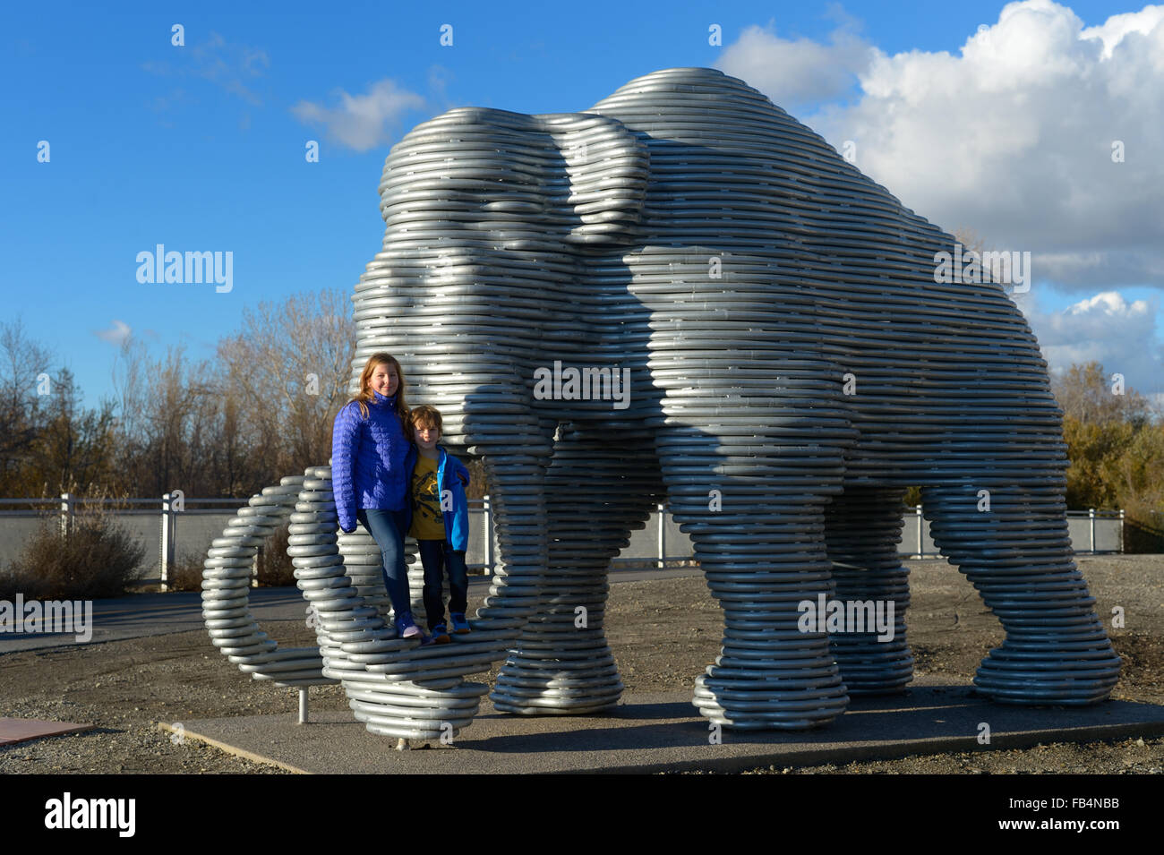 Lupe le mammouth colombien, San Jose CA Banque D'Images