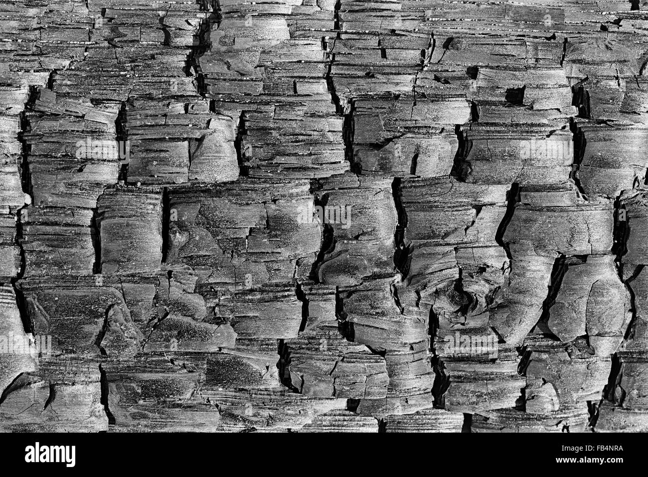 Journal brûlé, l'île de Vancouver Banque D'Images