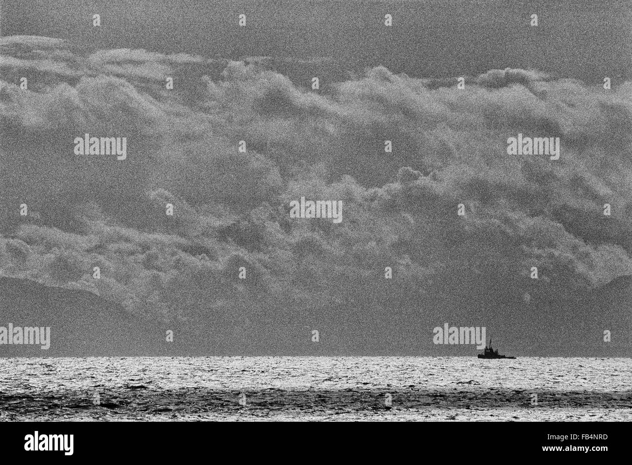 Tug boat au large de l'île de Vancouver, Colombie-Britannique, Canada Banque D'Images